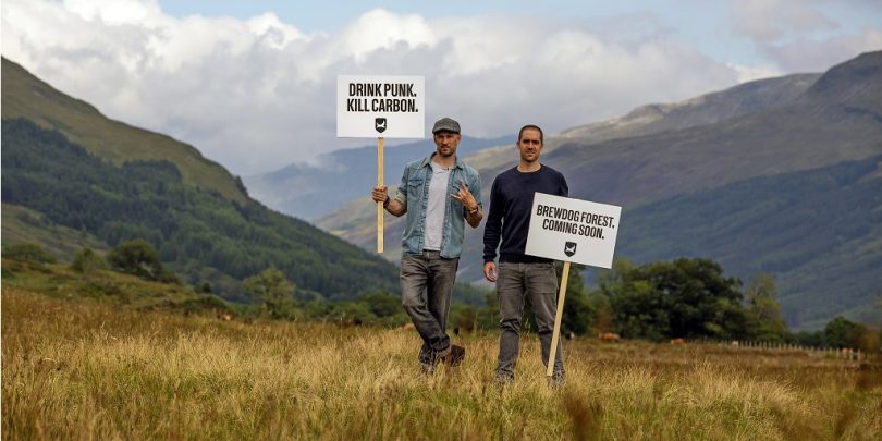Sustainability beyond greenwashing - BrewDog-carbon-negative-810x405