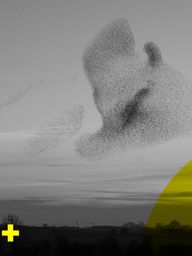 What the FLoC is the Federated Learning of Cohorts?