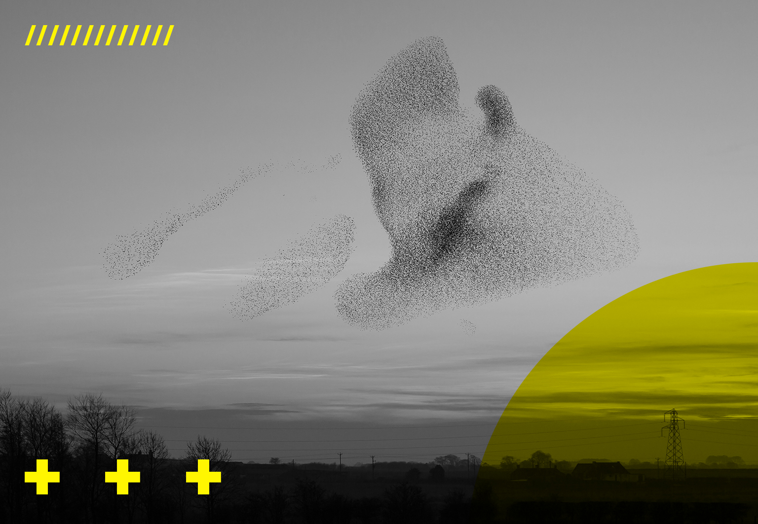 What the FLoC is the Federated Learning of Cohorts?