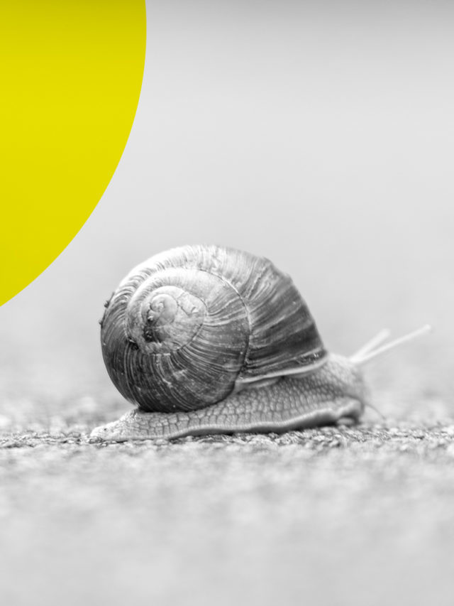 9 Tips to SEO Optimize Your Slugs